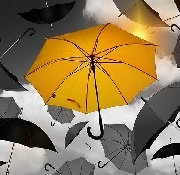 multi-colored umbrellas